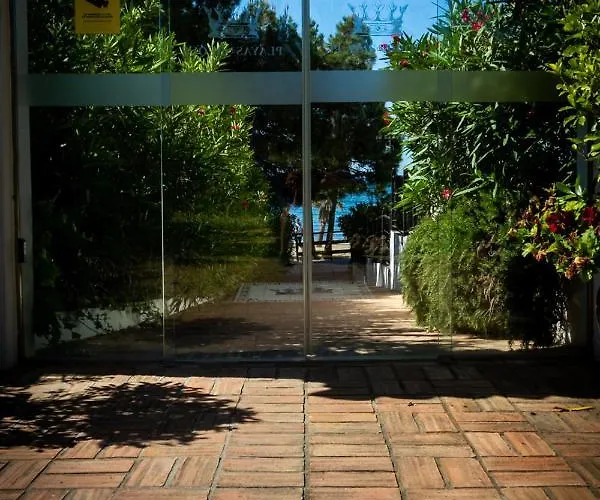 Banus - Bird Of Paradise Playas Del Duque Banus *