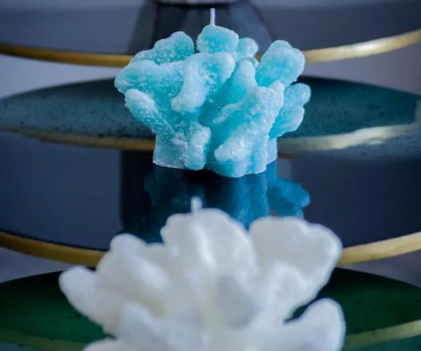 Banus - Bird Of Paradise Playas Del Duque Banus