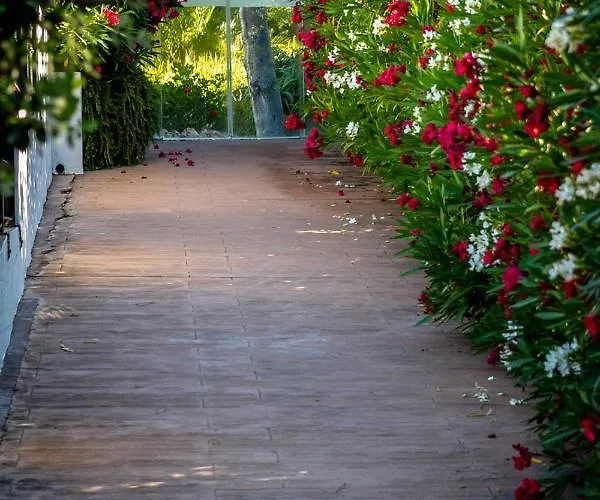 Banus - Bird Of Paradise Playas Del Duque Banus Apartment Marbella